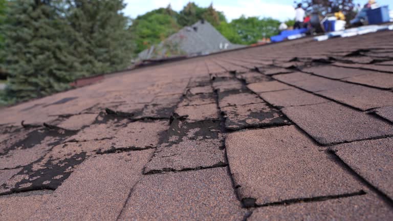 Best Wood Shake Roofing  in Muenster, TX