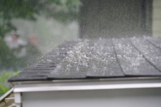 Best Flat Roofing  in Muenster, TX