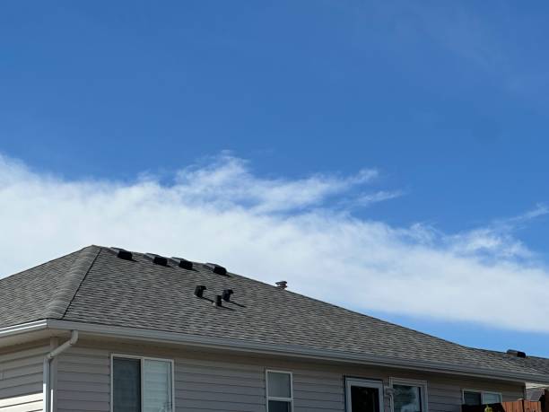 Best 4 Ply Roofing  in Muenster, TX